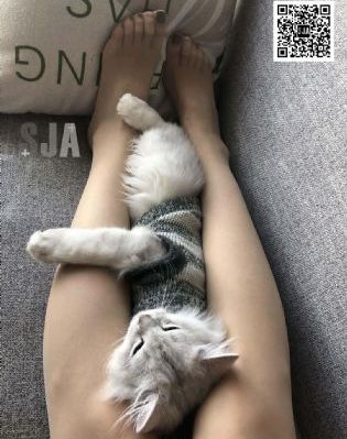 韩国免费网站_高清高清在线观看