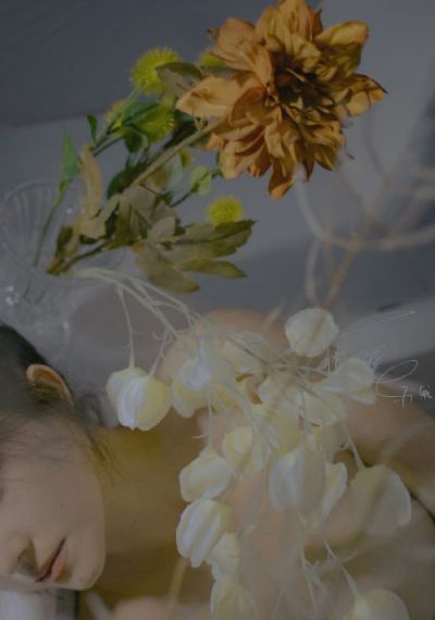 美丽的丽莎意大利电影_免费观看完整版下载