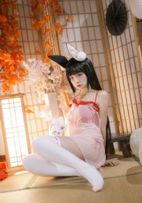神马影院观看_DVD视频大全