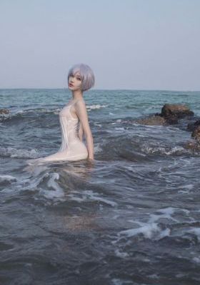 四平警事_西瓜视频在线观看