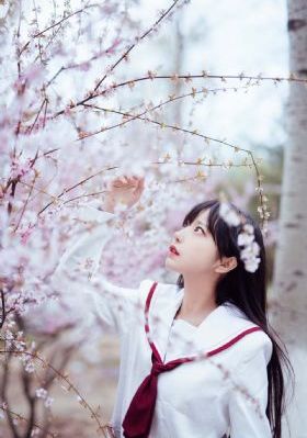 丁香花免费完整高清电影观看_BD国语电影完整版